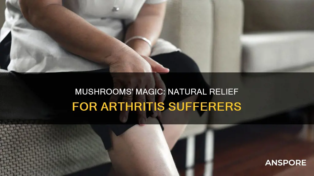what mushrooms help with arthritis