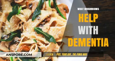 Mushrooms for Memory: Natural Remedies for Dementia