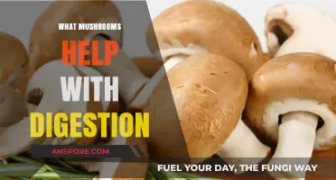 Mushrooms for Gut Health: Natural Digestion Aids