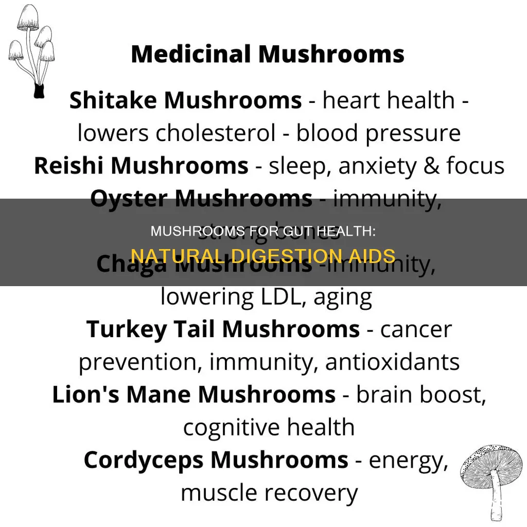 what mushrooms help with digestion