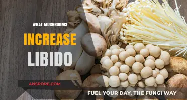 Boost Libido with These Magical Mushrooms