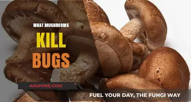 Mushroom Power: Natural Pest Control for Your Garden