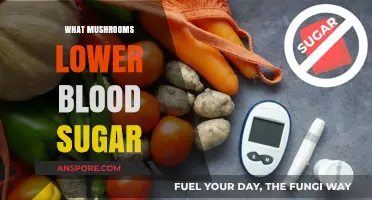 Mushroom Power: Lowering Blood Sugar Naturally