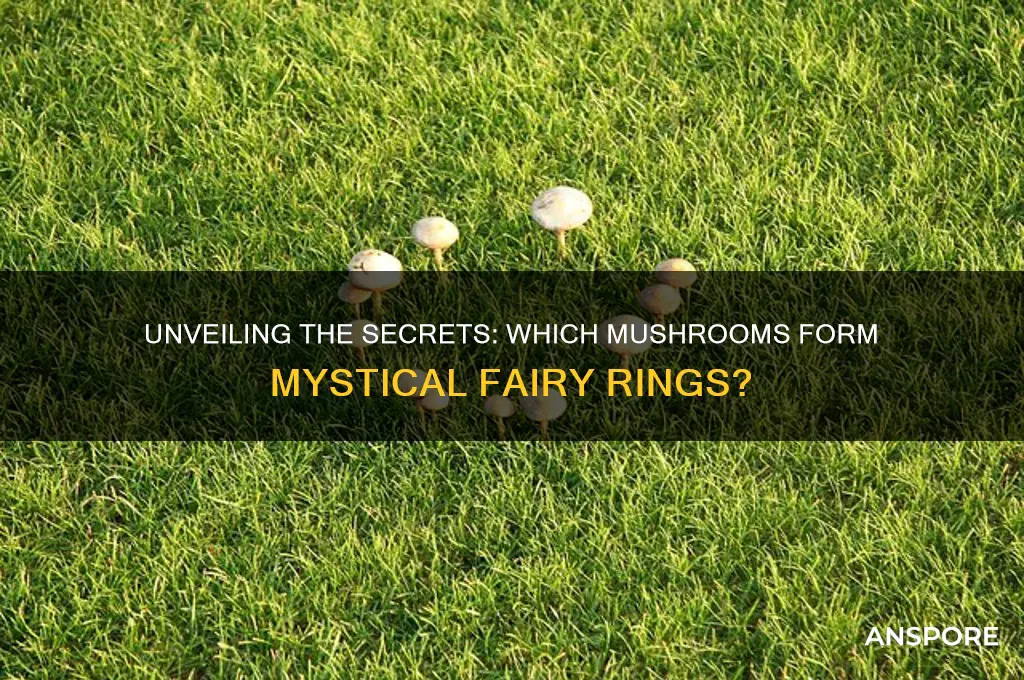 what mushrooms make up mushroom rings