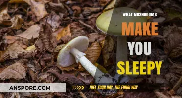 Mushrooms That Induce Sleep: Natural Remedies for Restful Nights