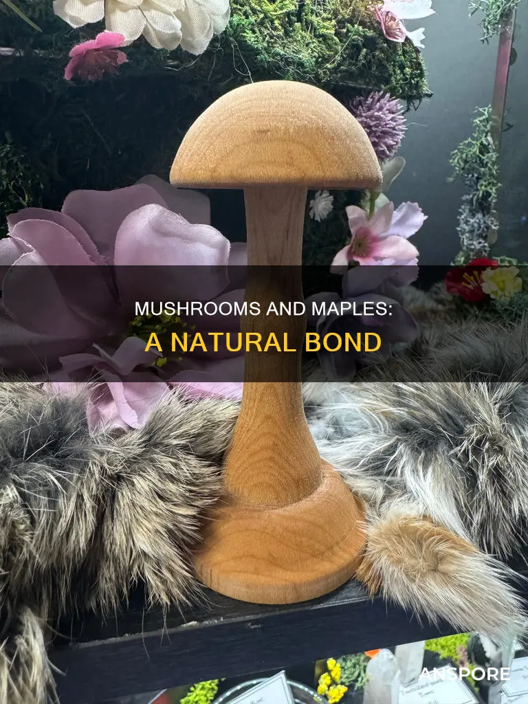 what mushrooms maples