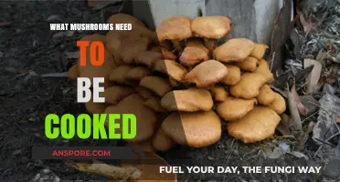 Essential Cooking Tips: Which Mushrooms Require Heat for Safe Consumption