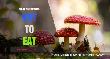 Avoid These Deadly Mushrooms: A Guide to Unsafe Fungi Varieties