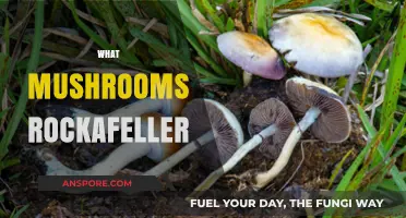 Mushroom Rockafeller: A Delicious, Healthy, and Easy Dish