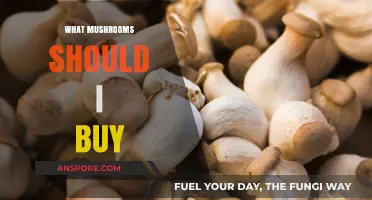 Choosing the Best Mushrooms: A Buyer's Guide to Varieties and Uses