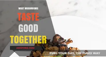 Delicious Mushroom Pairings: Unlocking Flavor Combinations That Truly Shine Together