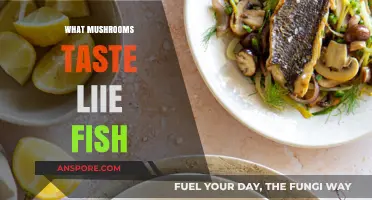 Mushroom Delicacy: Tasting Notes of the Sea