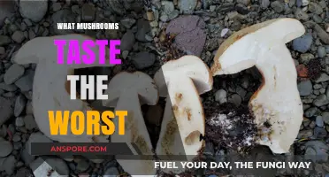 Mushroom Misery: The Worst-Tasting Fungi