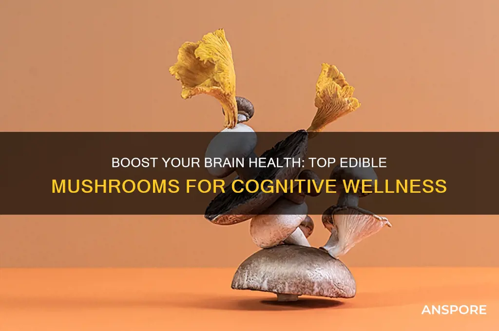 what mushrooms to eat for brain health