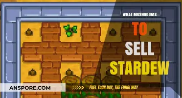 Best Mushrooms to Sell in Stardew Valley