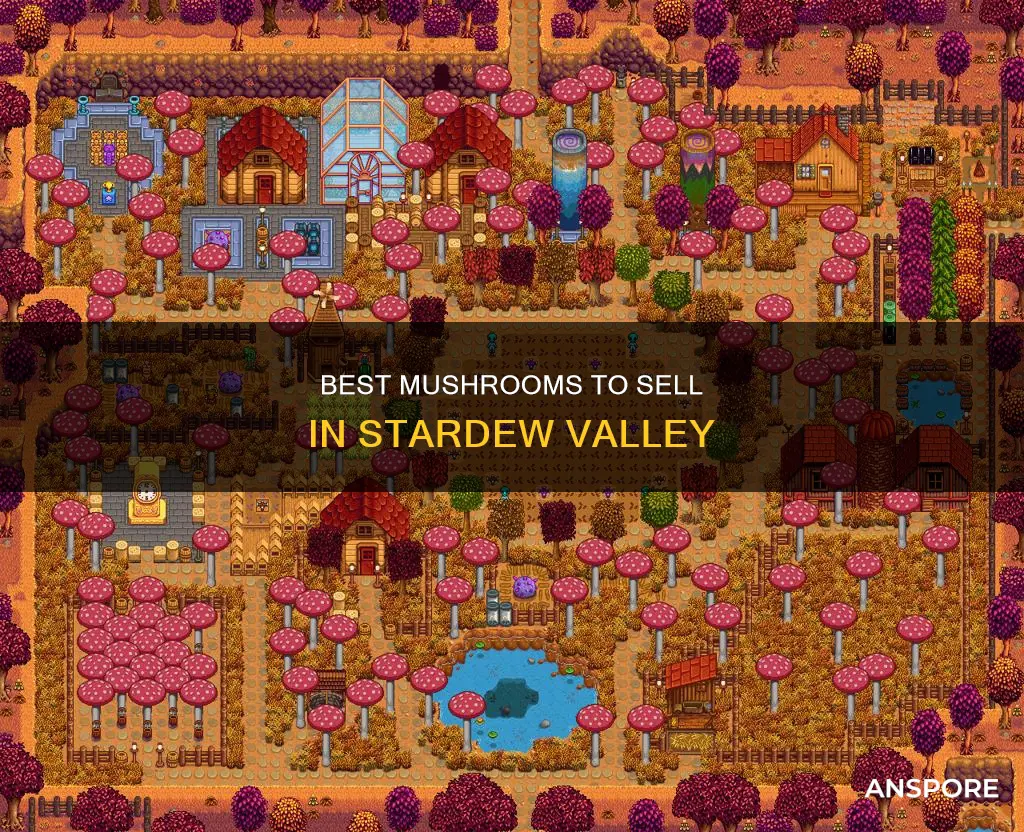 what mushrooms to sell stardew