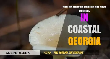 Coastal Georgia's Outdoor Mushroom Varieties: A Comprehensive Guide