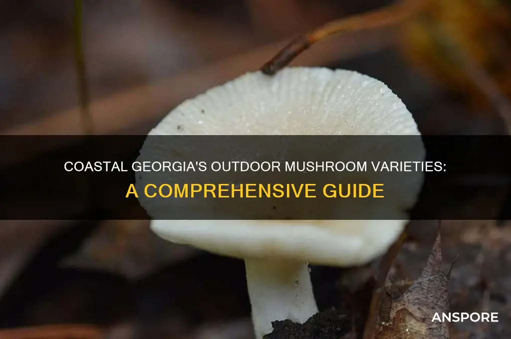 what mushrooms varieties will grow outdoors in coastal georgia
