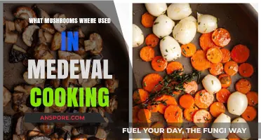 Medieval Mushroom Delights: Unveiling Fungi in Historic European Cuisine