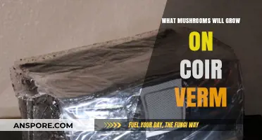 Mushroom Cultivation on Coir Verm: Ideal Species for Successful Growth