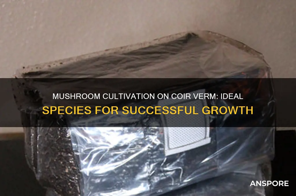 what mushrooms will grow on coir verm