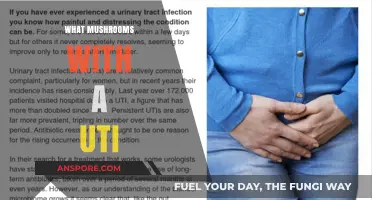 Healing UTIs: Mushrooms to Eat and Avoid