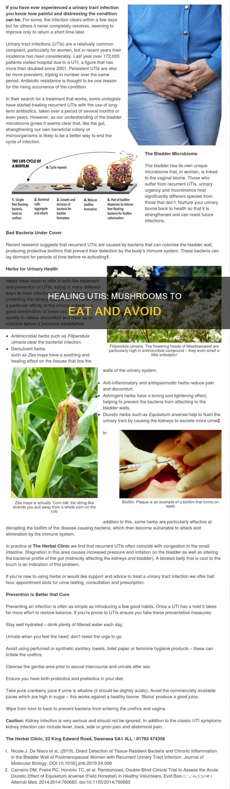 what mushrooms with a uti