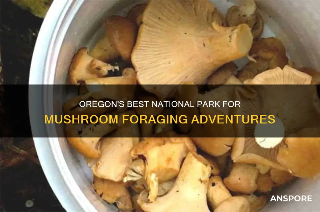 what national park has good mushroom picking in oregon