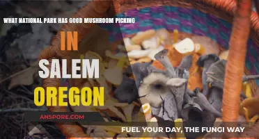Discover Salem, Oregon's Best National Park for Mushroom Foraging