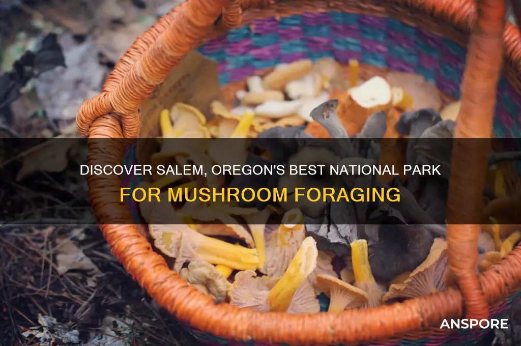 what national park has good mushroom picking in salem oregon