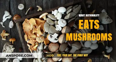 Exploring Global Mushroom Consumption: Which Nationality Eats Mushrooms Most?