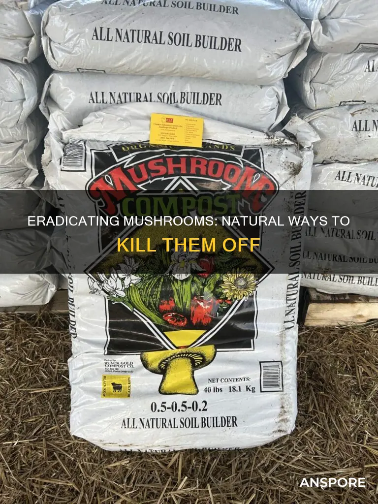 what naturally kills mushroom