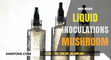 Liquid Inoculations: The Key to Mushroom Success