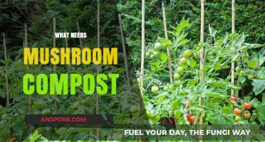 Mushroom Compost: What Plants Need This Fertilizer?