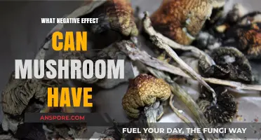 Mushroom Dangers: Uncovering Potential Health Risks and Side Effects