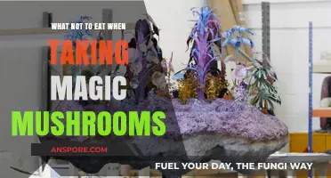 Avoid These Foods When Tripping: Magic Mushroom Dietary No-Nos