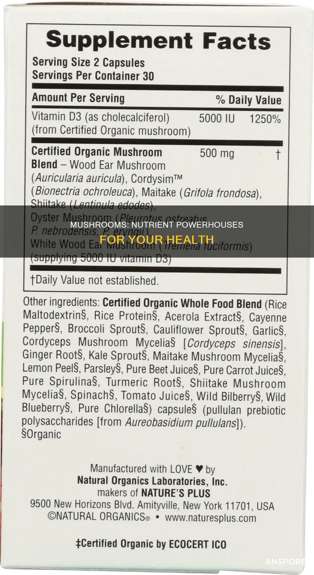 what nurtients are in mushrooms