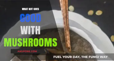 Mushroom and Nut Pairings: Discover the Perfect Nutty Companion