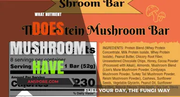 Mushrooms: Nature's Nutritional Powerhouses
