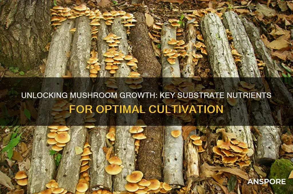 what nutrient from a substrate helps mushrooms grow