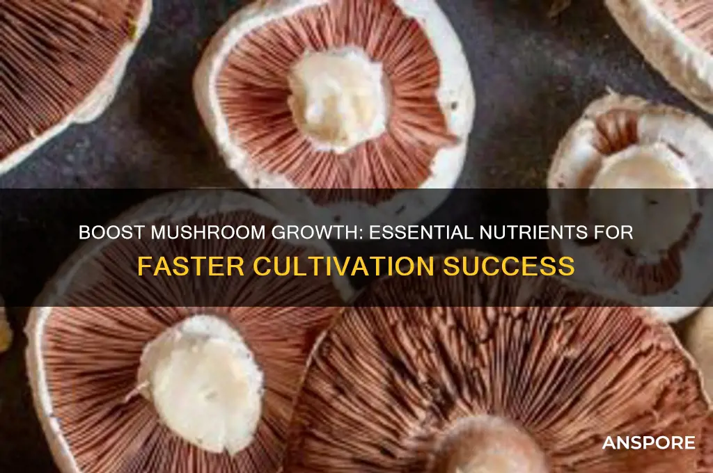 what nutrients can be added to make mushrooms grow faster