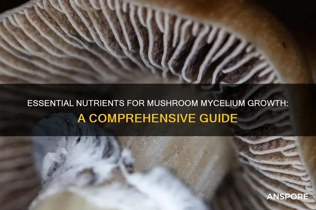 what nutrients do mushroom mycelium need to grow