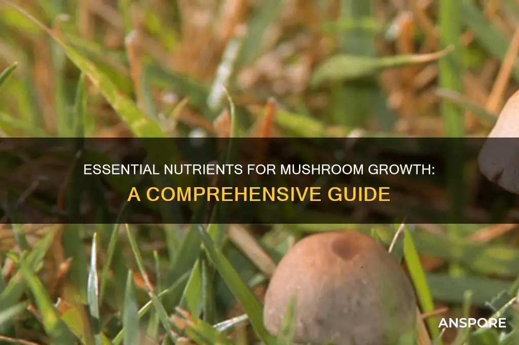 what nutrients do mushrooms need to grow