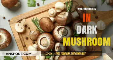Mushroom Power: Unlocking Dark Mushrooms' Nutrient Secrets