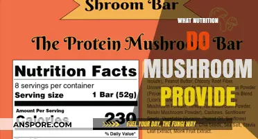 Mushrooms: Nutrition Powerhouses for Your Health