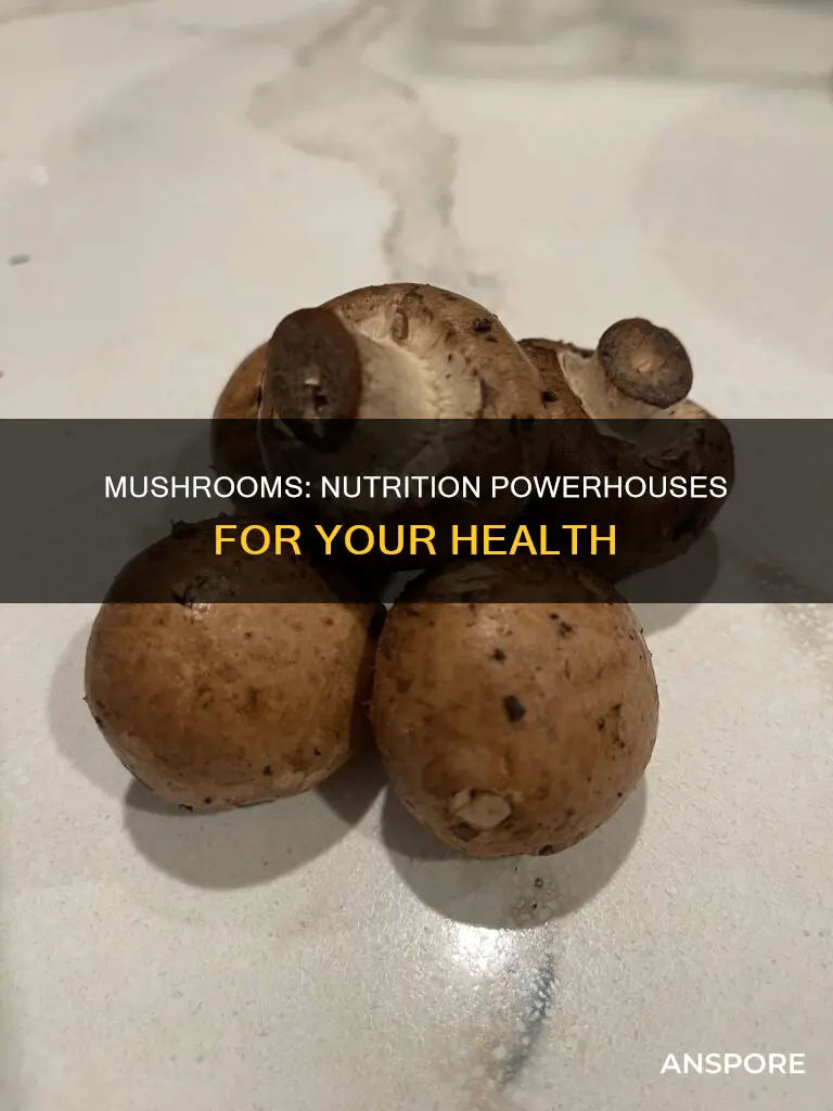 what nutritious about mushrooms