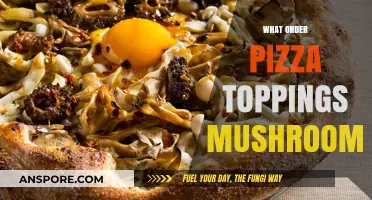 Mushroom Lovers: The Perfect Pizza Topping Combination