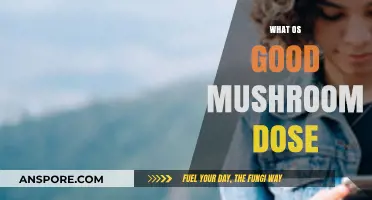 Finding Your Ideal Mushroom Dose: A Beginner's Guide to Safe Use