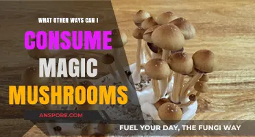Exploring Alternative Methods to Consume Magic Mushrooms Safely and Effectively