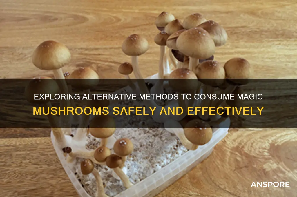 what other ways can i consume magic mushrooms
